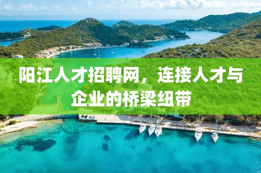 阳江人才招聘网，连接人才与企业的桥梁纽带