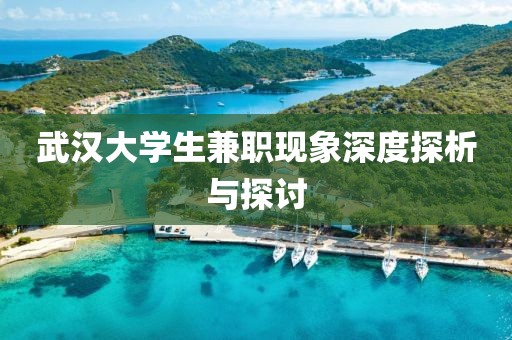 武汉大学生兼职现象深度探析与探讨